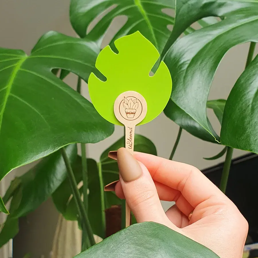 Thumbnail: uBloomd Green Insect Sticky Traps