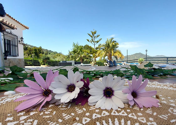 Samadhi Flowers