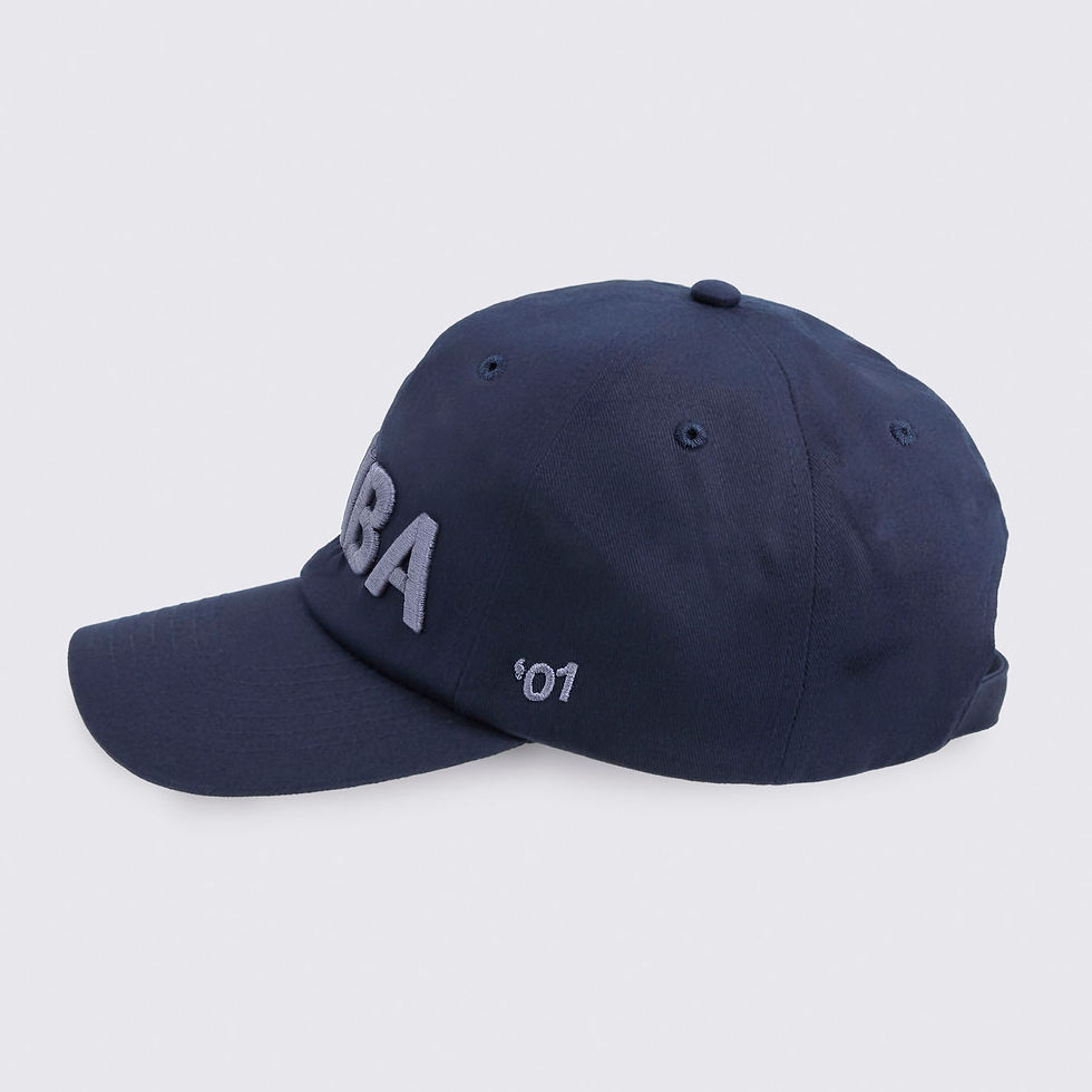 Thumbnail: Zumba Core Dad Hat