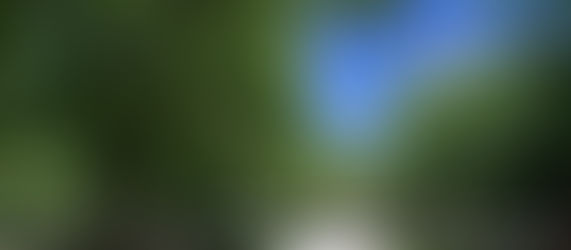 はじめまして！福岡の“ 素敵”を探しに足を運んでみよう！