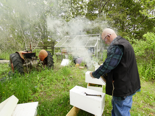 Video: Hive Inspections
