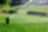 (c)Loxone_Irrigation-Sprinkler-Smart-Gardening_5.jpg
