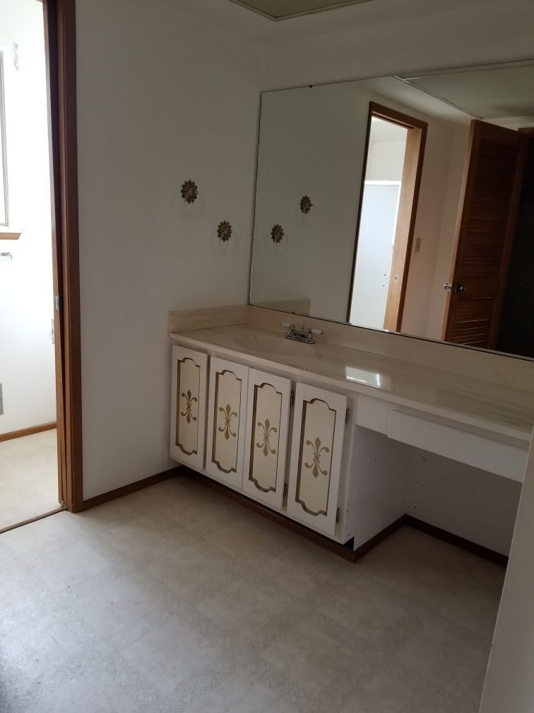 Primary Bathroom - Before