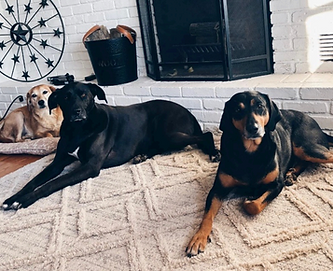 Screenshot 2025-11-12 at 5.45.34 PM.png