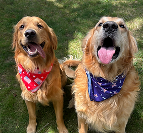 Screenshot 2025-11-12 at 5.44.23 PM.png