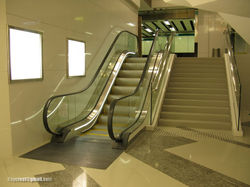 Standard Type Escalator