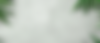 u7942411958_smooth_white_concrete_wall_background_minimal_tex_f42c24e8-854f-435d-81b6-7c55