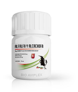 Alfalfa y Alcachofa.jpg