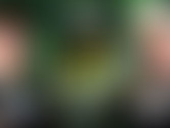 浜崎朱加がRIZINでオリンピック柔道メダリストと対戦!4月12日(日)@マリンメッセ福岡