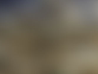 תערוכת פרס טיילור ווזינג לצילום פורטרט בלונדון