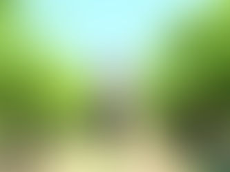 South Australia's hiddens gems