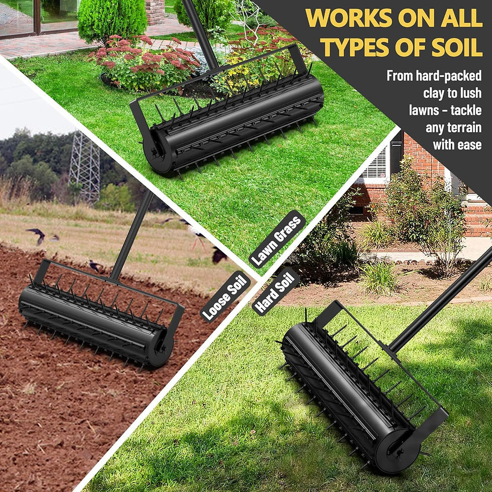 Thumbnail: Evtmag Lawn Aerator