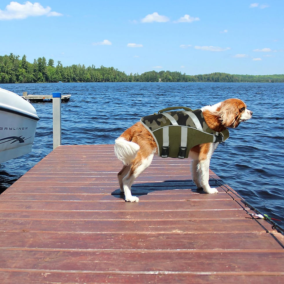Thumbnail: Kuoser Dog Life Jacket