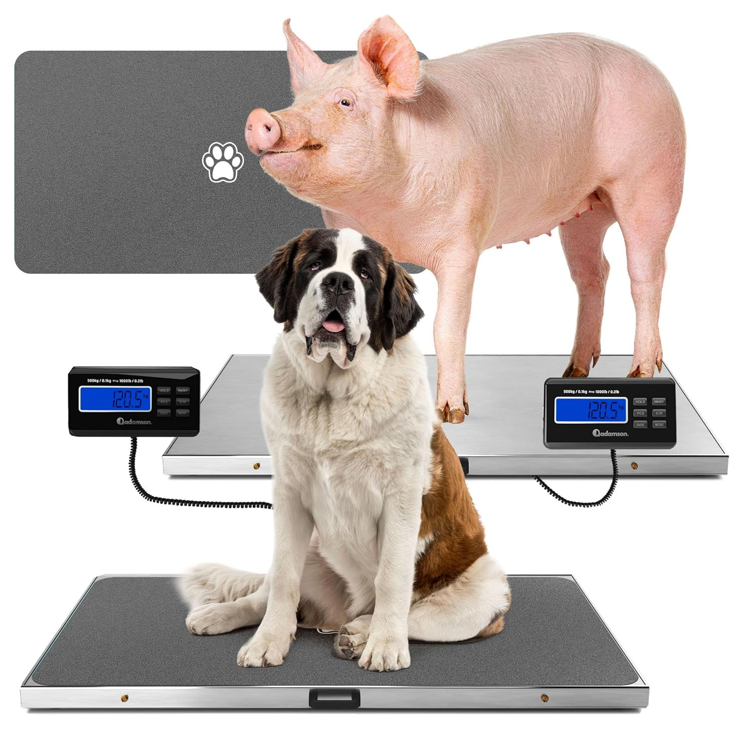 Adamson Livestock Scale 1100 lb / 500 kg