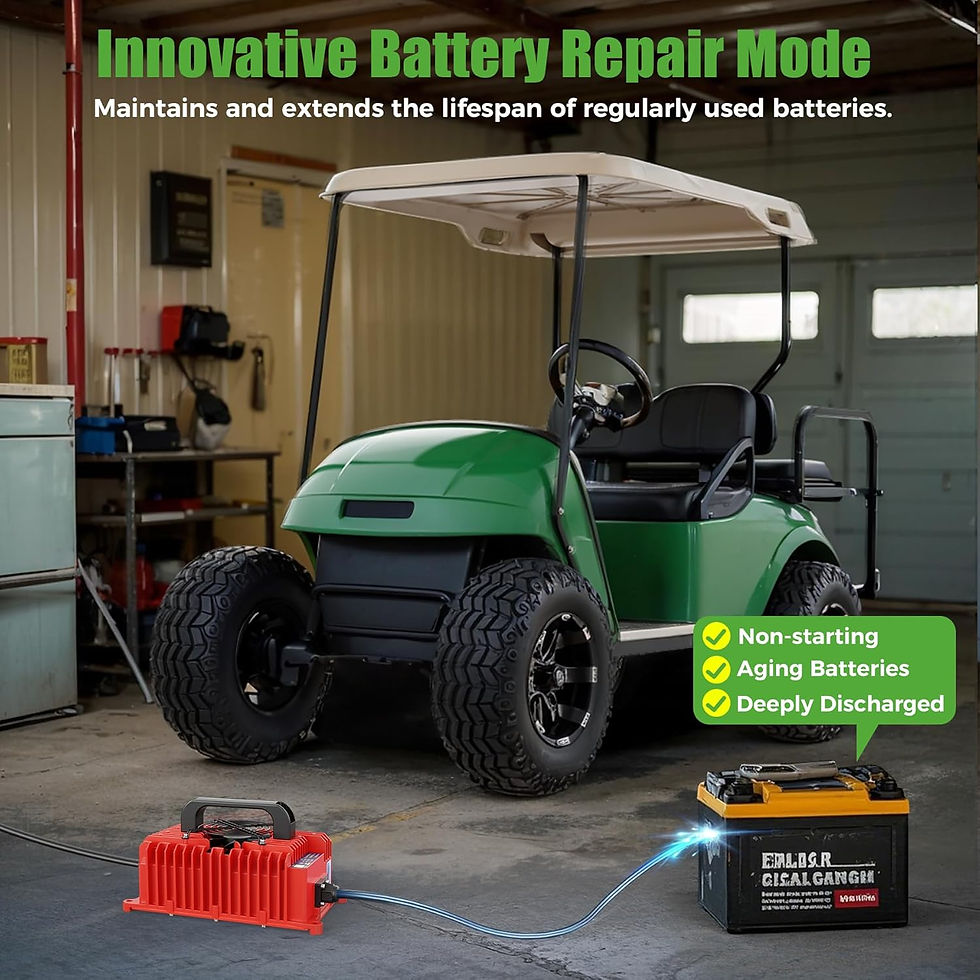 Thumbnail: 10L0L Golf Cart Charger