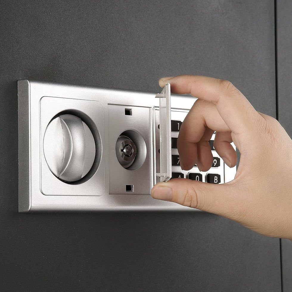 Thumbnail: Paragon Lock & Safe Digital In-Wall Safe