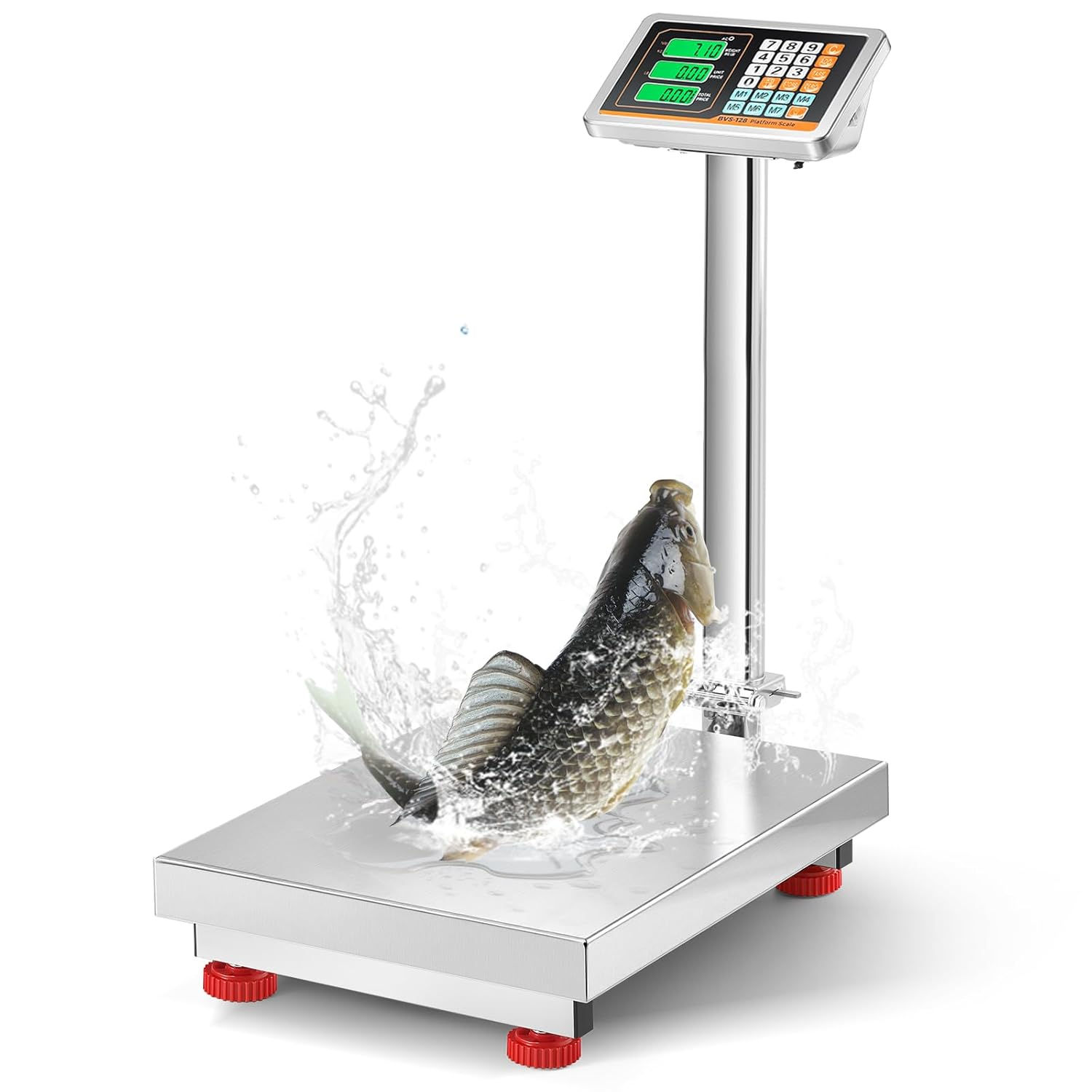 Bonvoisin Digital Floor Scale
