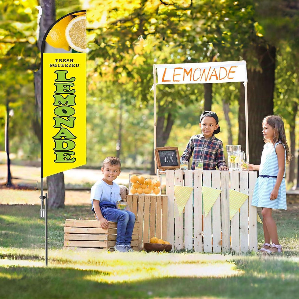 Thumbnail: HunnmingRe Lemonade Feather Flag Pole Kit