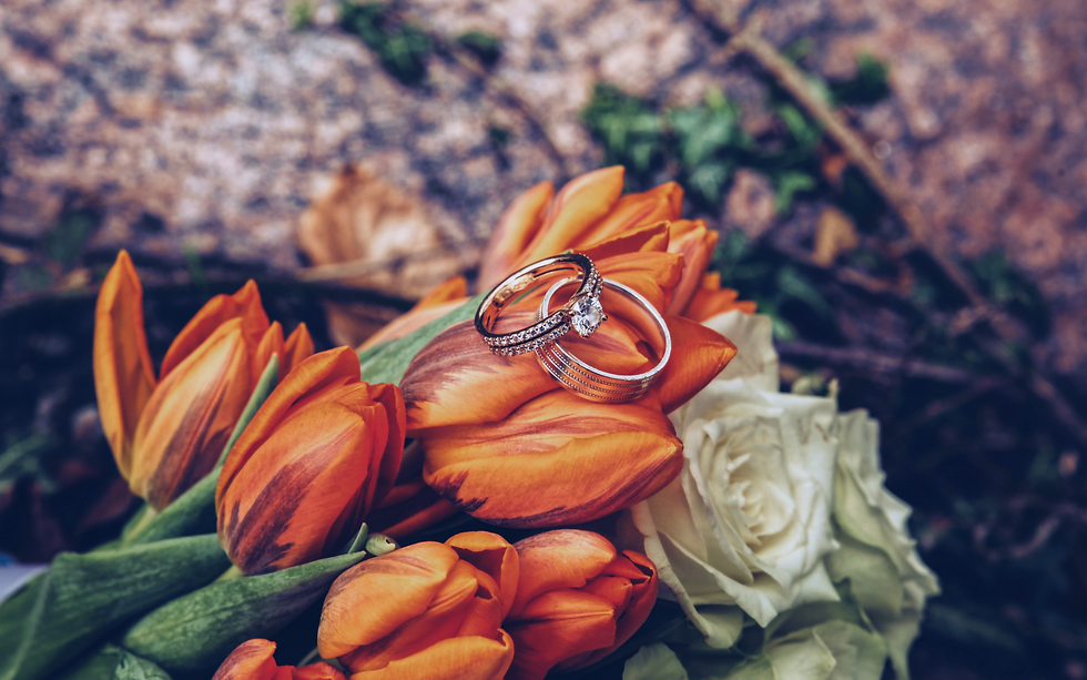 nick-karvounis-cYIAEQuGZag-unsplash 1