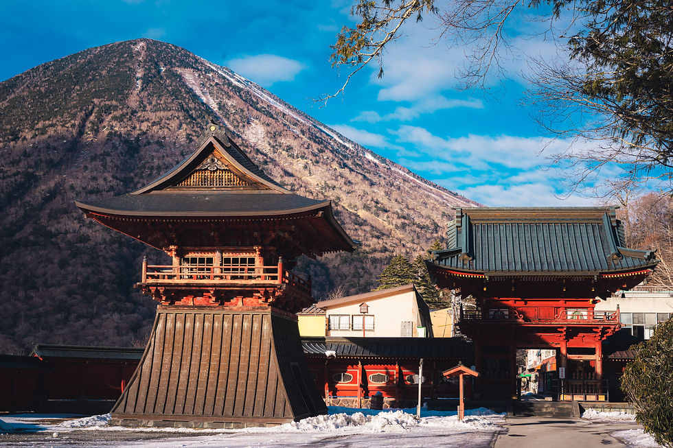 NIKKO A TRIER-02.jpg