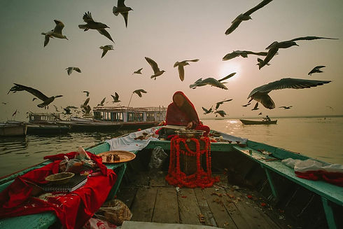 DKR and birds.jpg