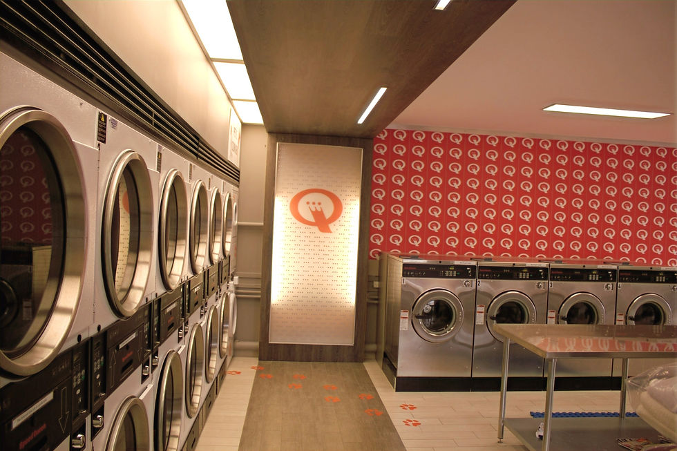 Own Your Own Laundromat F.L.Costello & Co