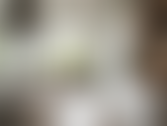 Discover Your Perfect Kitchen Style