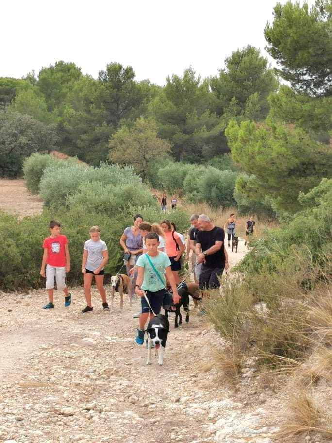 Balade de socialisation 