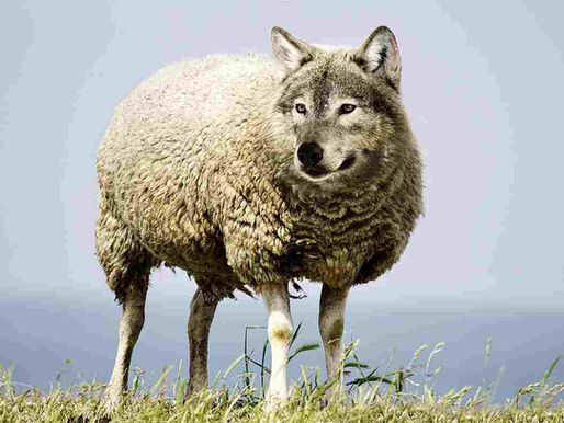 Profile of a Pastor Destined for Hell