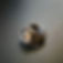 20191020_122657-01.jpeg