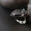 Thumbnail: SeaAnemon Black Ring