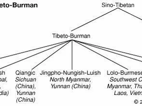 History of Languages in India II