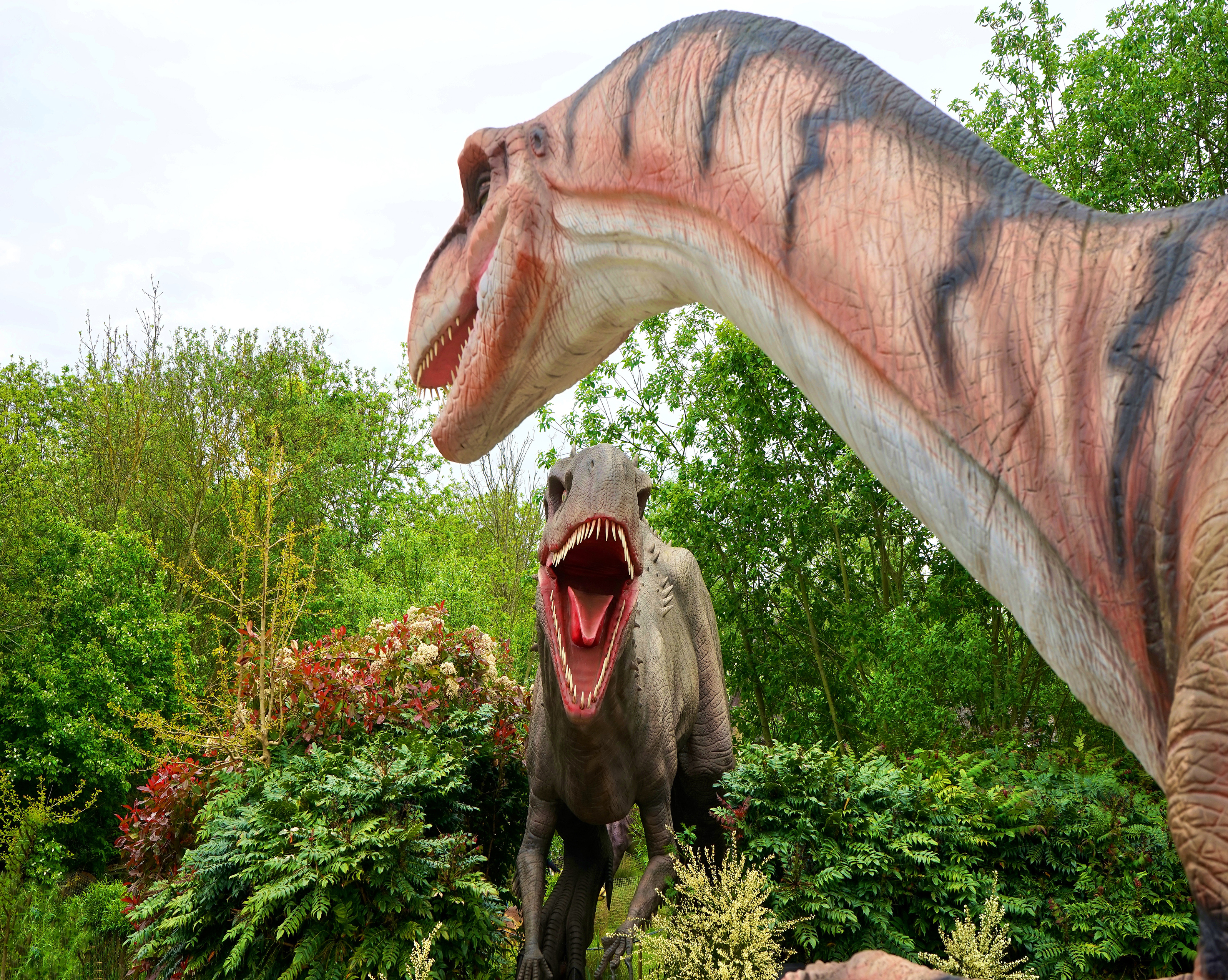1031 Dinosaurs