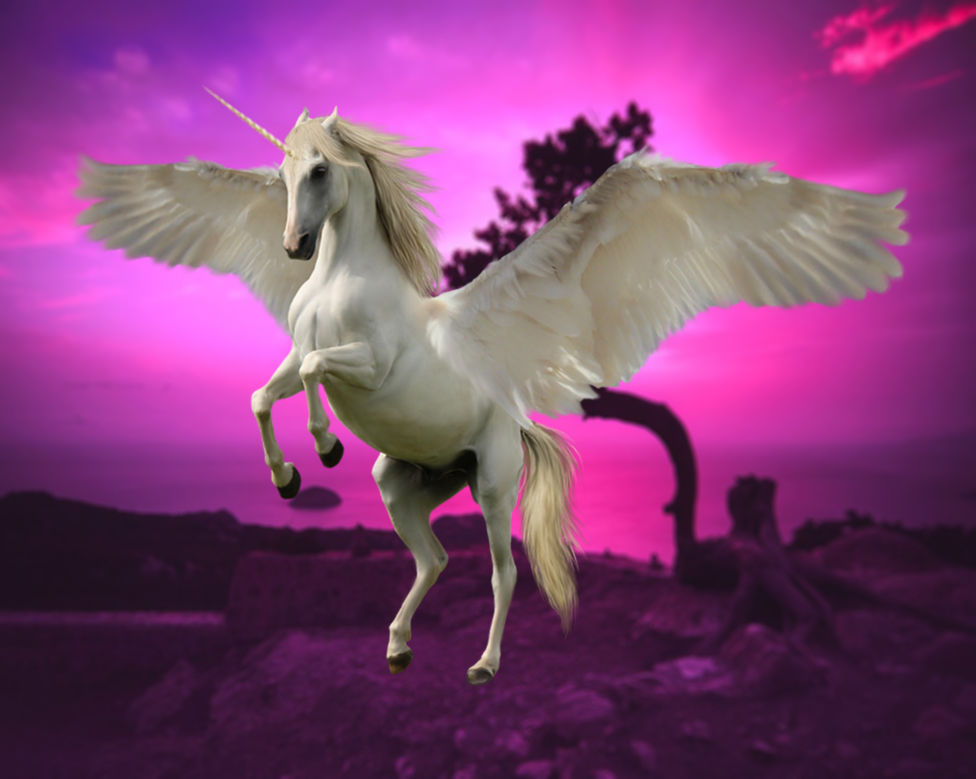 1037 Pegicorn