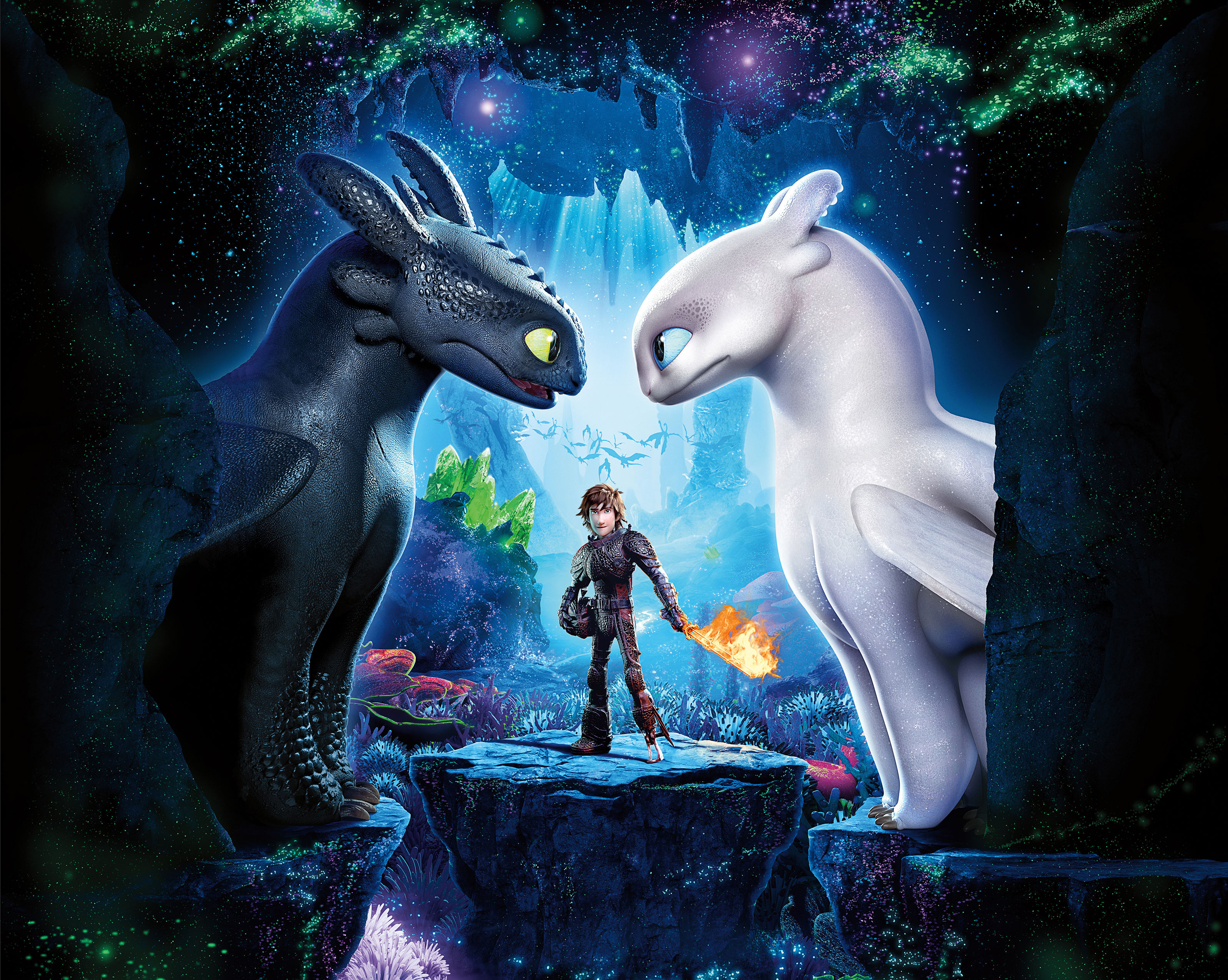 1062 How To Train Your Dragon 3 Night & Light