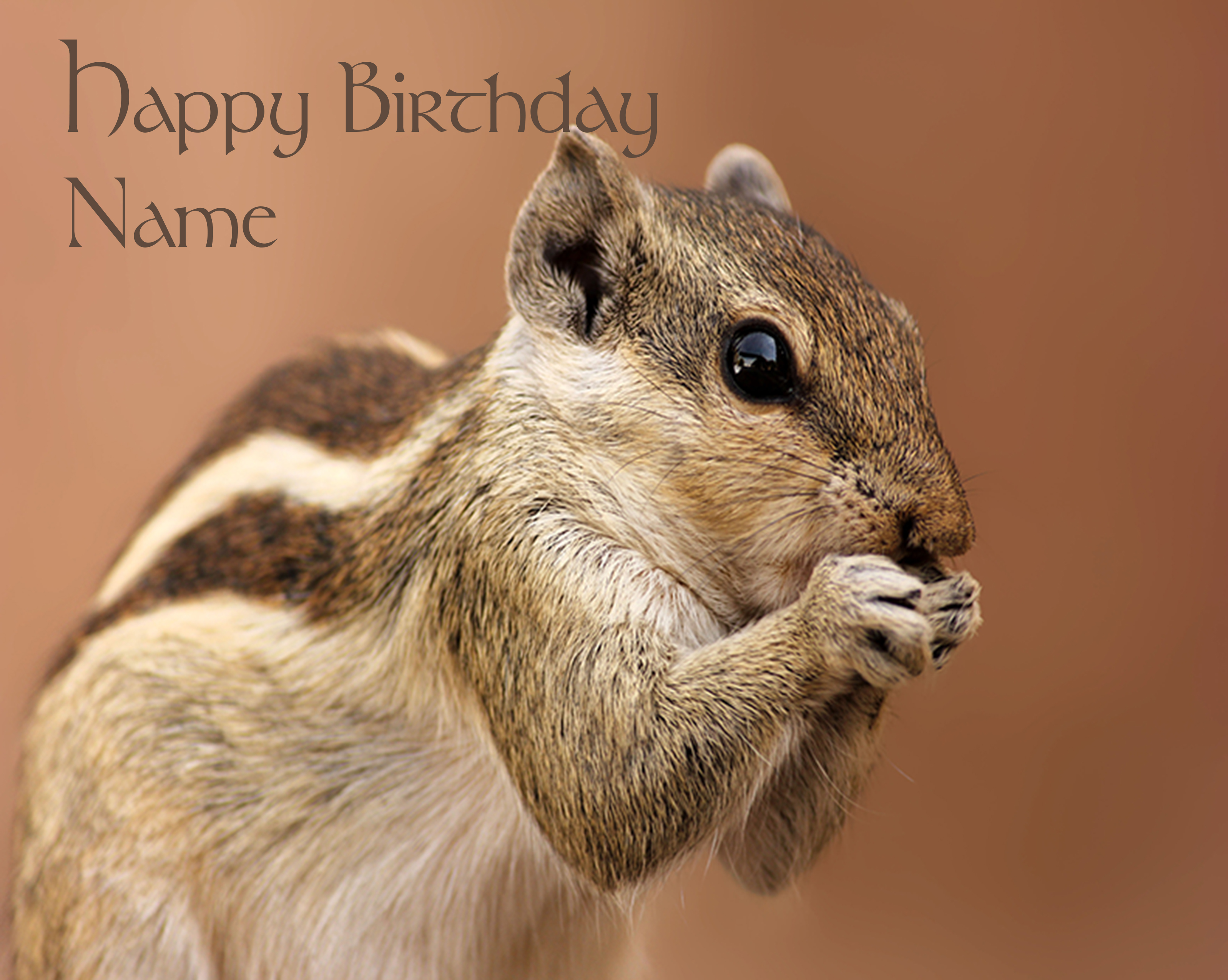 1007 Chipmunk