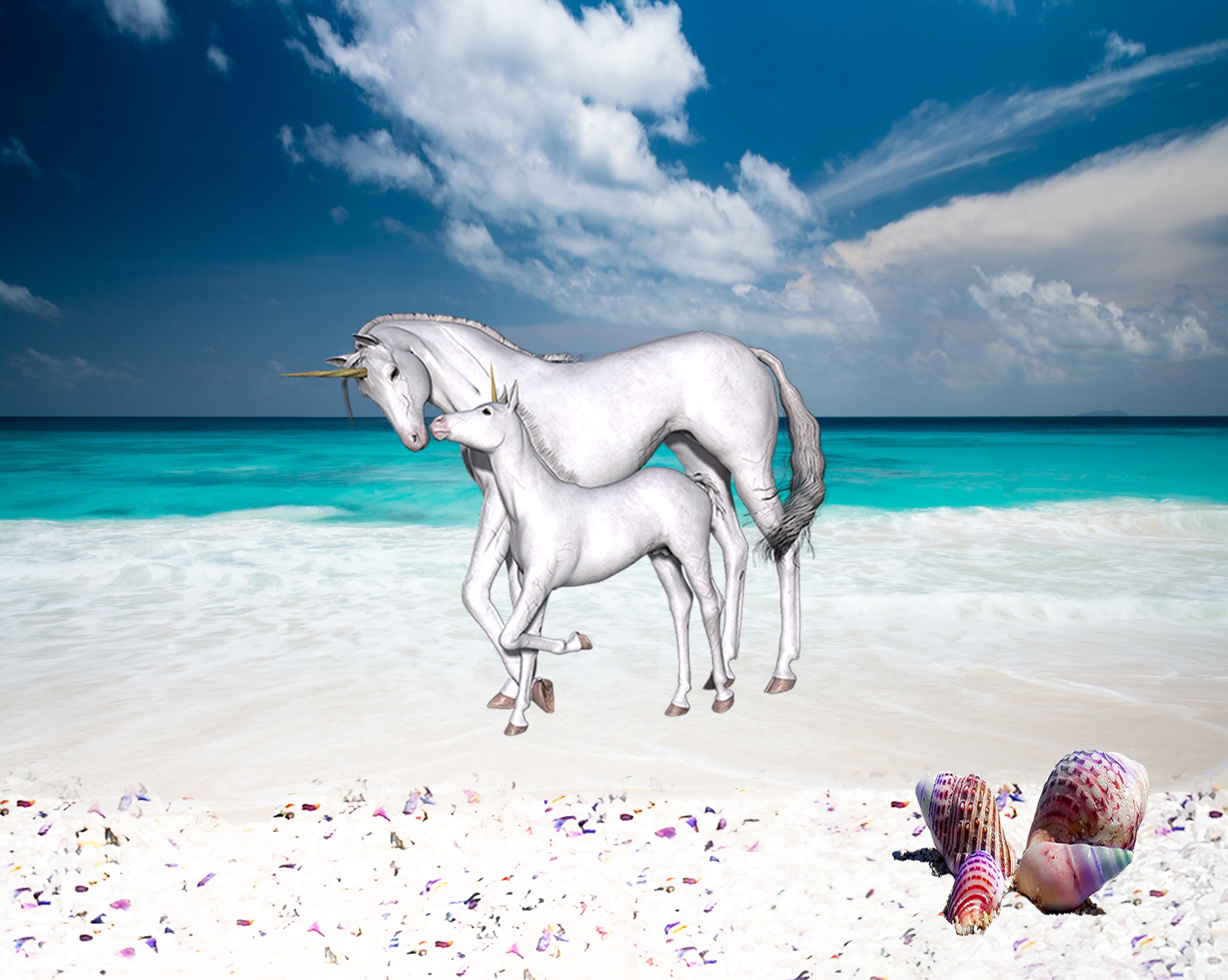 1050 Uni & Baby Beach