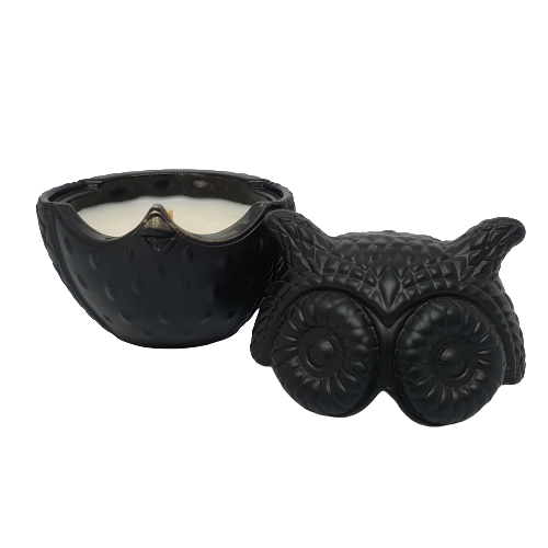 Thumbnail: Owls
