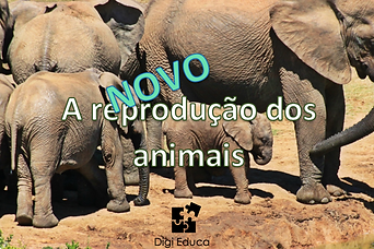 Captura de ecrã 2023-02-27, às 11.08.32.png