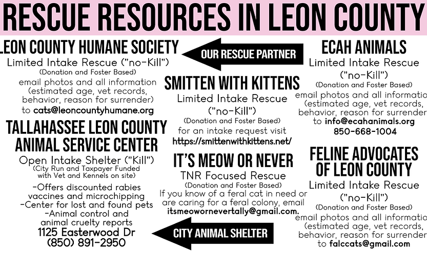 a list of local rescues and shelters and their contact information