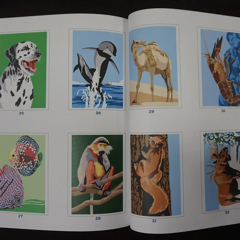 Thumbnail: Coloriages Mystères – Animaux du Monde