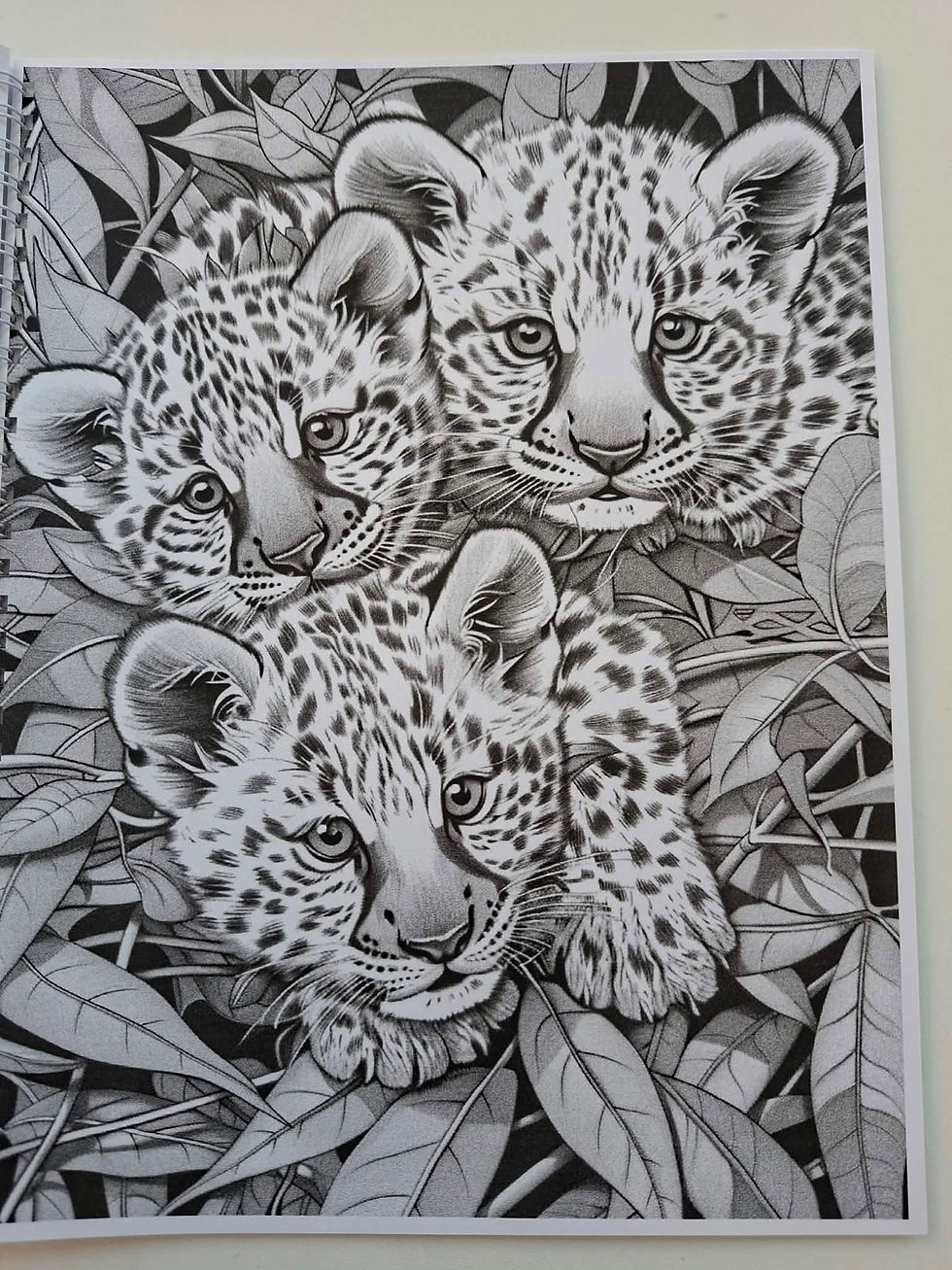 Thumbnail: Wild Cute Baby's