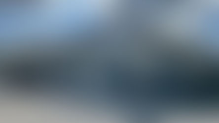 Grant Helps Vincennes Animal Shelter Improve Care