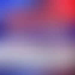Knox County Decides: 2026 Primary Election Results