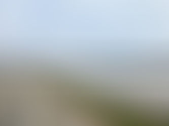 Driver Rescued After Floodwaters Sweep Car Off State Road 358