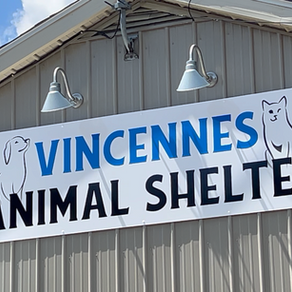 City of Vincennes Ends Animal Shelter Agreement with Knox County