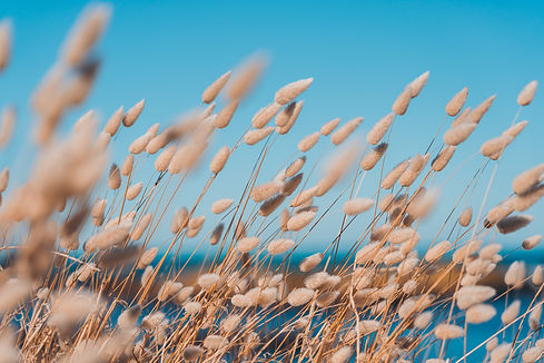 AdobeStock_330872565.jpeg