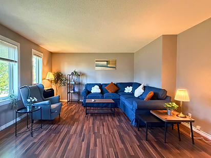 living room 1.png