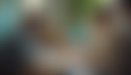 HURRICANE HELENE RELIEF OPERATIONS COST ANALYSIS - SWANNANOA