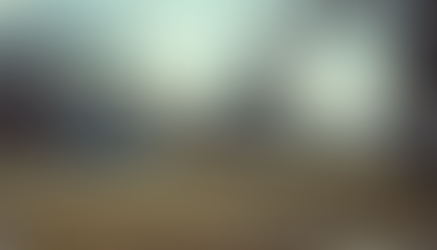 Voting Eligibility in Haywood County's Municipal Elections